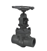 J11Y Series Forged Steel Internal Thread Globe Valves