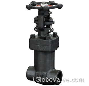 All Weled Bellows Seal Globe Valve