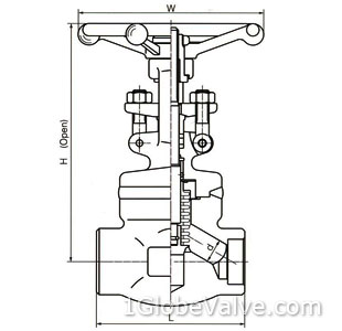 Materials of Compact Forged  welded bonnet bellows seal globe valve.