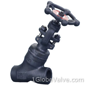 Compact Forged  welded bonnet y bellows seal globe valve.