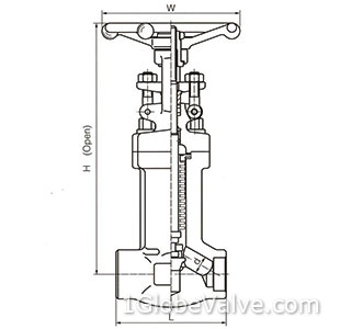 Sizes and Weights of 800 Lb, Threaded, Socket Welded Ends, BB, Forged Bellows Seal Globe Valve