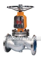 Oxygen-specific globe valves(pic1)