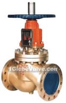 Oxygen-specific globe valve(pic2)