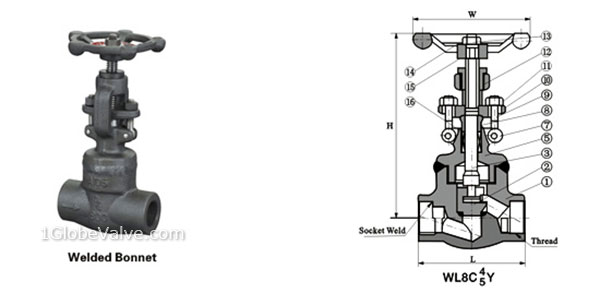 API 602 900 lb, Weld Bonnet, Forged Globe Valve, WB, OS&Y, Threaded (NPT / BSP),  Butt Weld (BW), Socket Weld (SW)